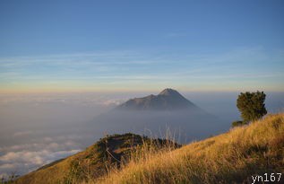 凤凰山门票价格是多少？