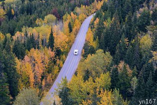  山东旅游线路值得推荐的景点？