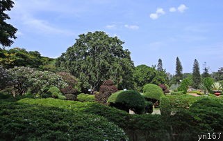 会泽县属于哪个市