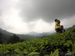 厦门武夷山旅游的最佳时间是什么时候？