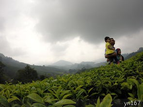 怎样到达厦门到武夷山？