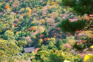  雁荡山门票价格是多少？